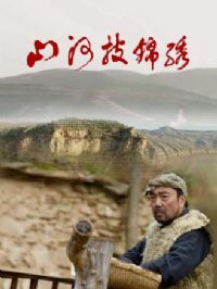 ɽ��������