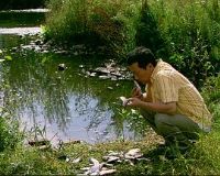 ����������