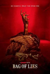 ħ�����ԡ�Ӱ�ӽ�˵��