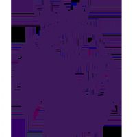 英超夏季联赛 曼联vs西汉姆联20250727