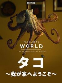 ��Ȼ���磺���������