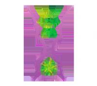 �������ޱ�1/4���� ����vs�й�̨��20250814